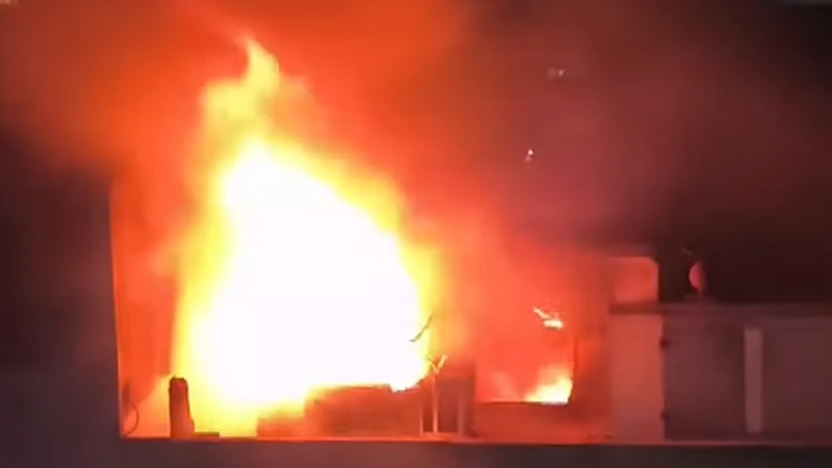 <div class="paragraphs"><p>ویڈیو گریب</p></div>