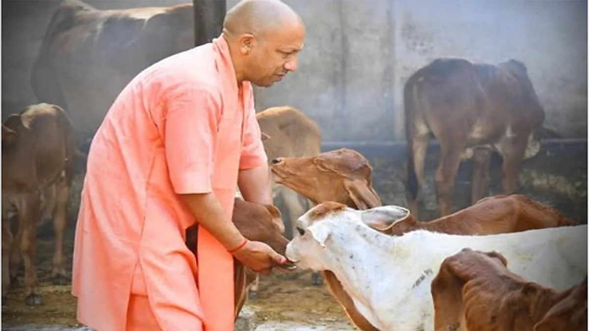 <div class="paragraphs"><p>تصویر سوشل میڈیا</p></div>