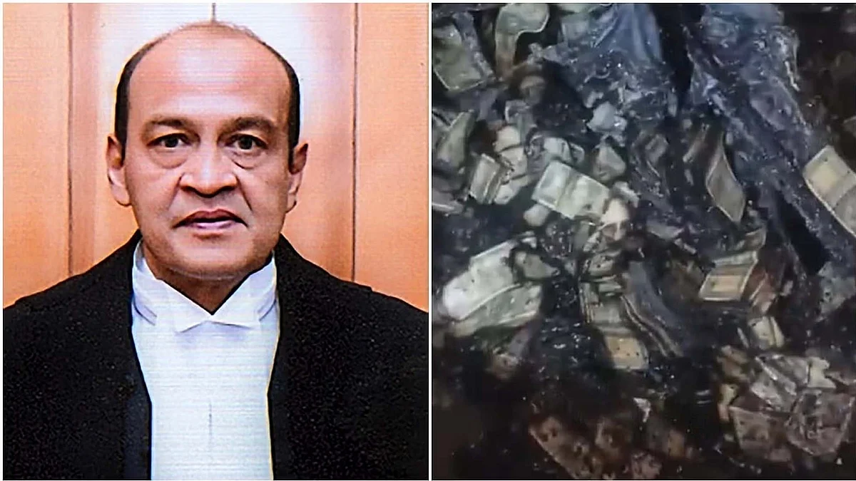 <div class="paragraphs"><p>جسٹس یشونت ورما، تصویر سوشل میڈیا</p></div>