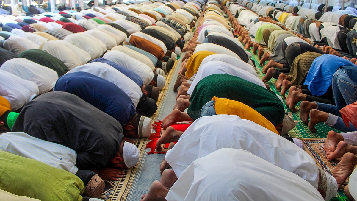 <div class="paragraphs"><p>فائل تصویر آئی اے این ایس</p></div>