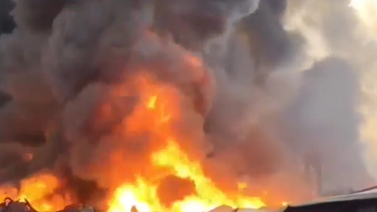 <div class="paragraphs"><p>ویڈیو گریب</p></div>