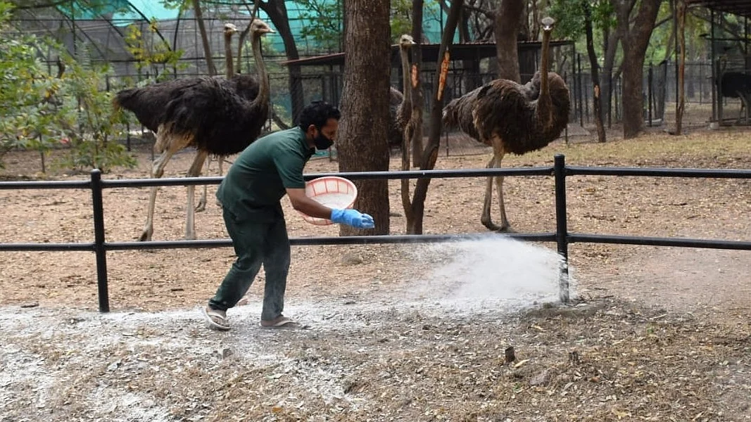 <div class="paragraphs"><p>علامتی تصویر، آئی اے این ایس</p></div>