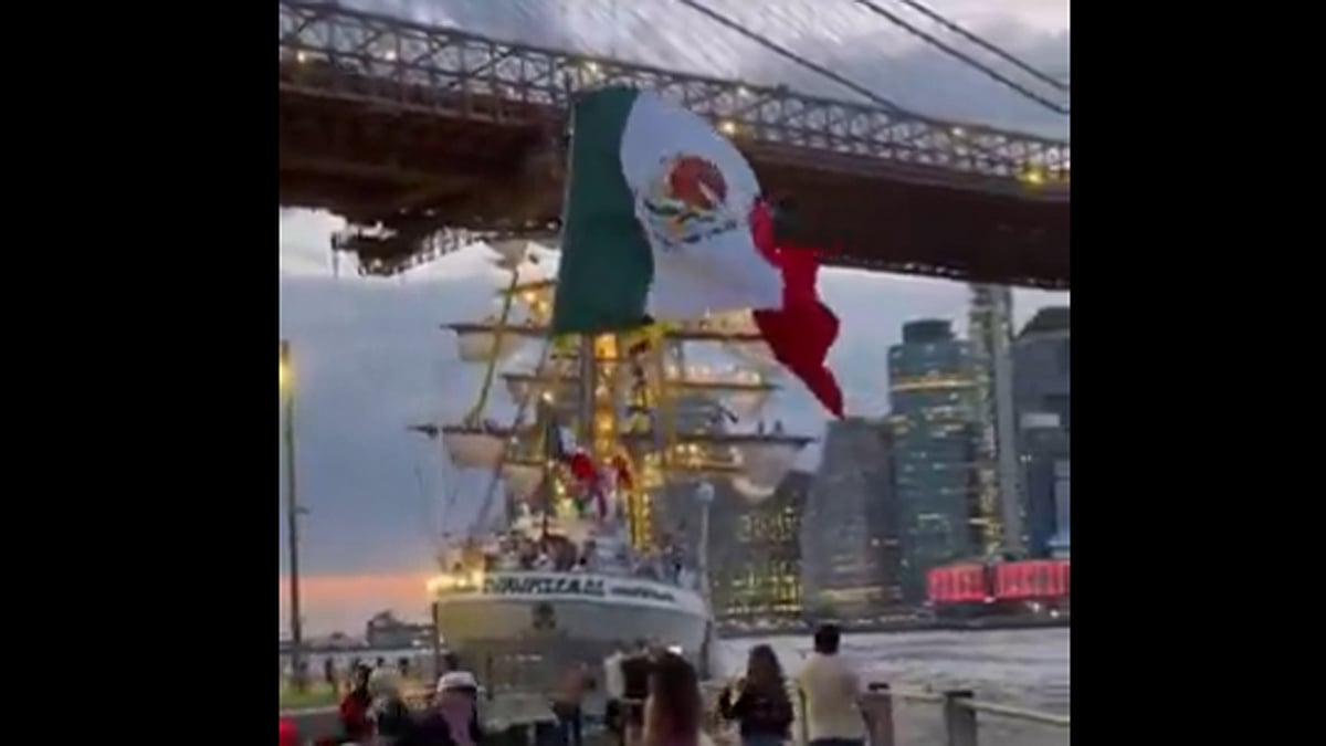 <div class="paragraphs"><p>ویڈیو گریب</p></div>