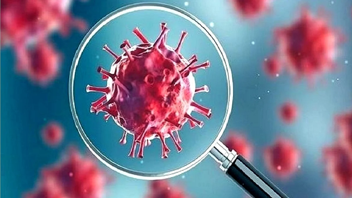 <div class="paragraphs"><p>کورونا وائرس، تصویر آئی اے این ایس</p></div>