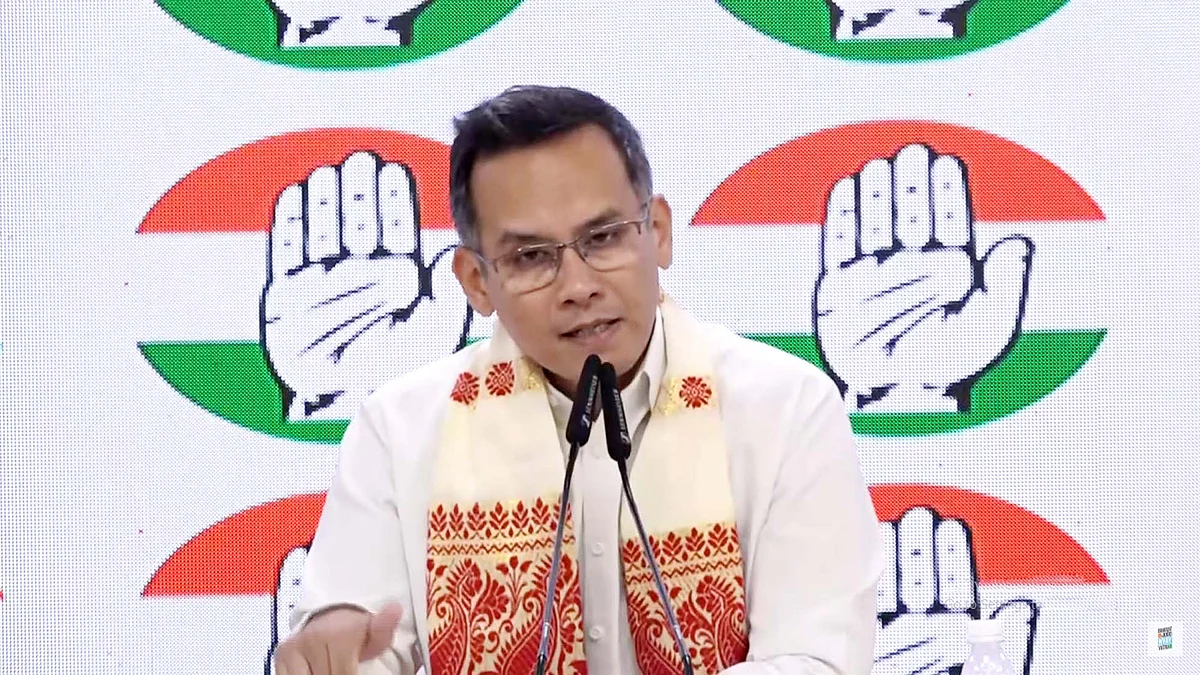 <div class="paragraphs"><p>گورو گگوئی / ویڈیو گریب</p></div>