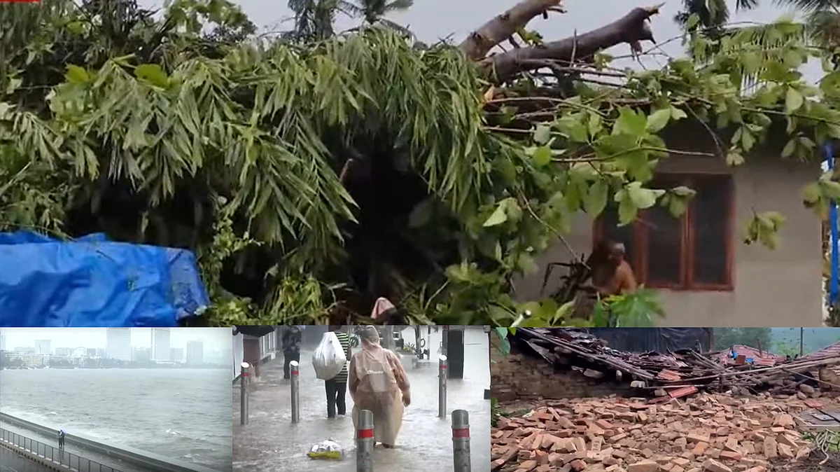 <div class="paragraphs"><p>ویڈیو گریب</p></div>