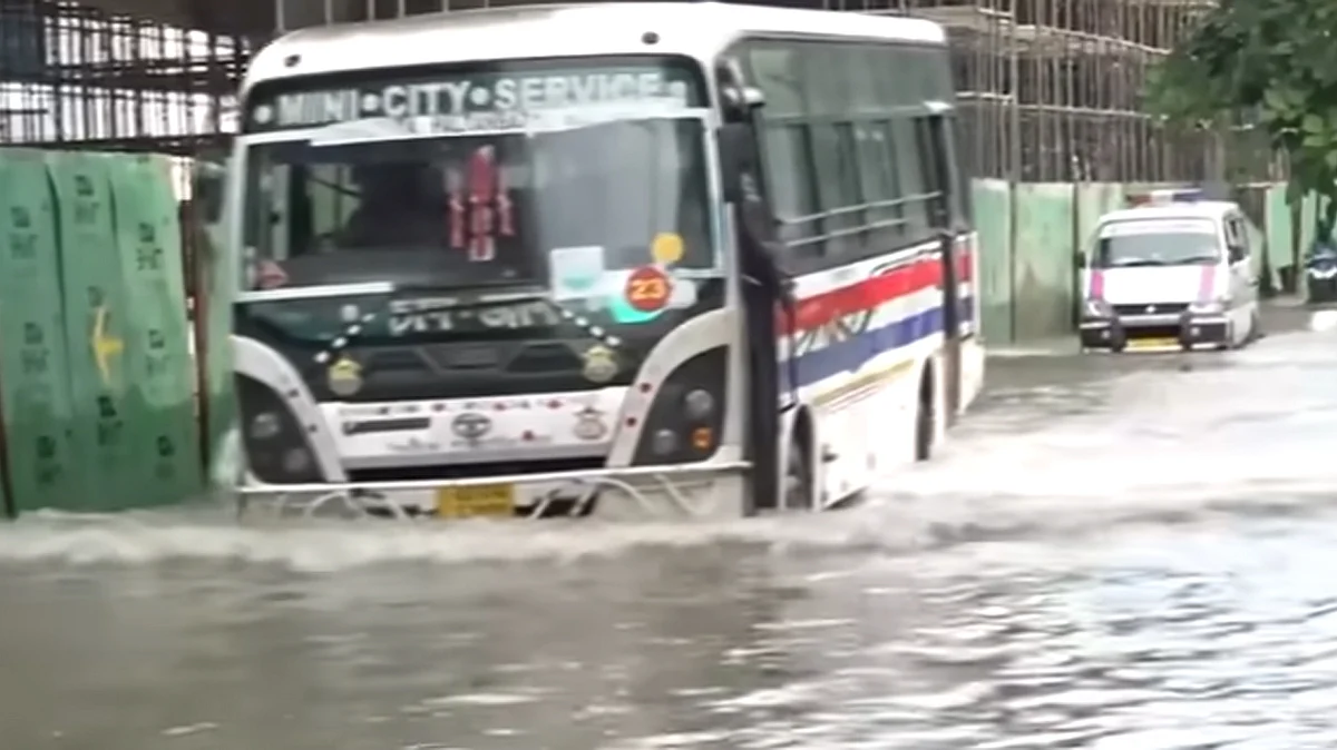 <div class="paragraphs"><p>ویڈیو گریب</p></div>