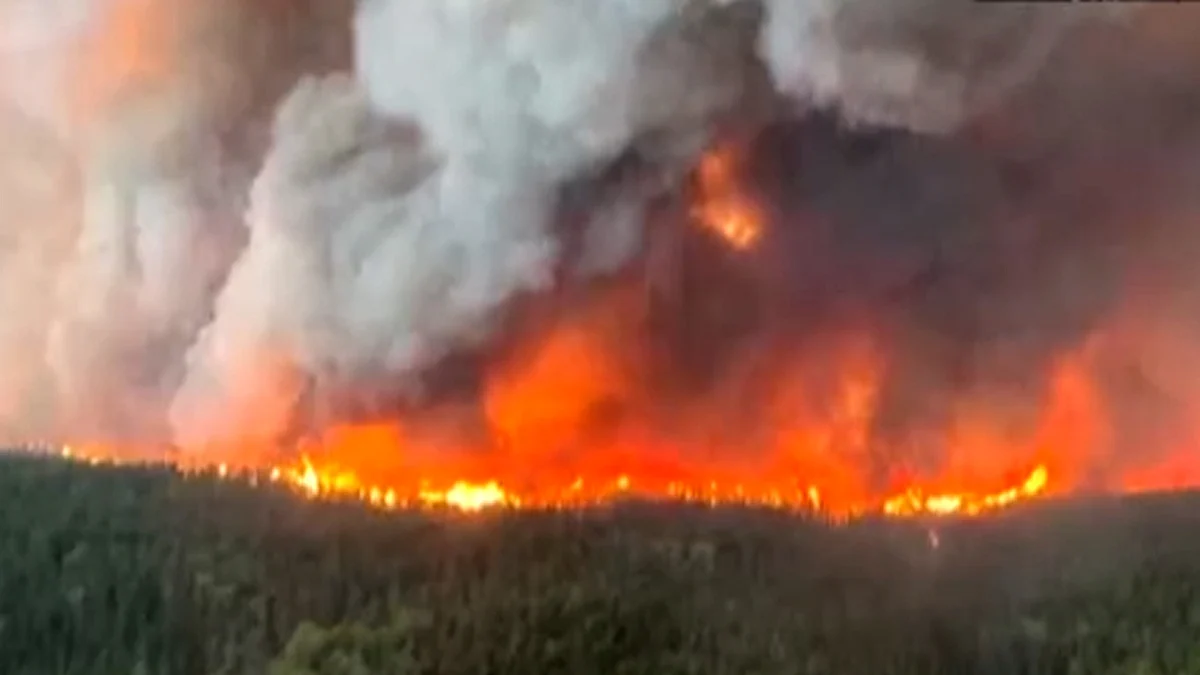 <div class="paragraphs"><p>ویڈیو گریب</p></div>