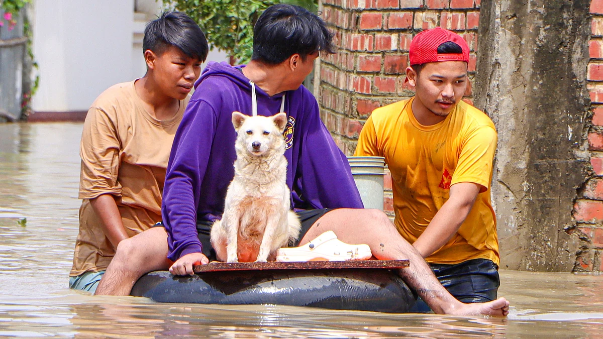 <div class="paragraphs"><p>تصویر بشکریہ آئی اے این ایس</p></div>