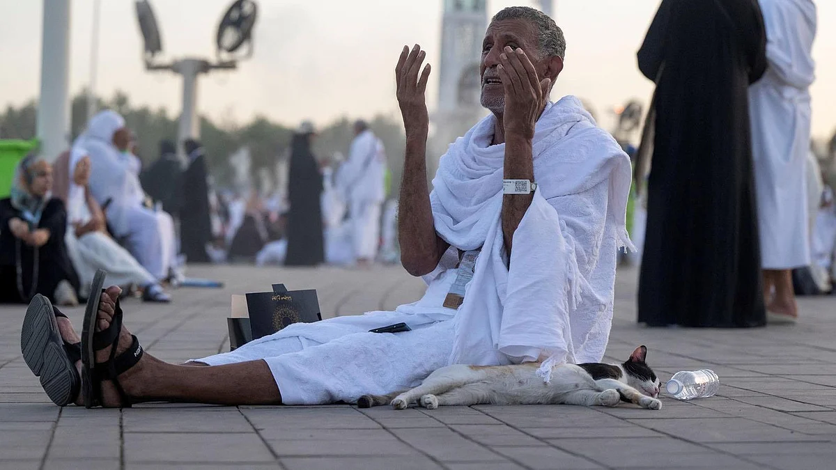 <div class="paragraphs"><p>حج 2025، تصویر <a href="https://x.com/insharifain">@insharifain</a></p></div>