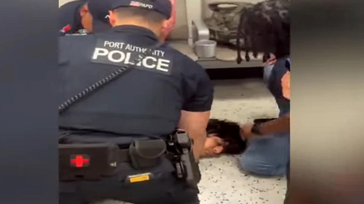 <div class="paragraphs"><p>ویڈیو گریب/یوٹیوب</p></div>