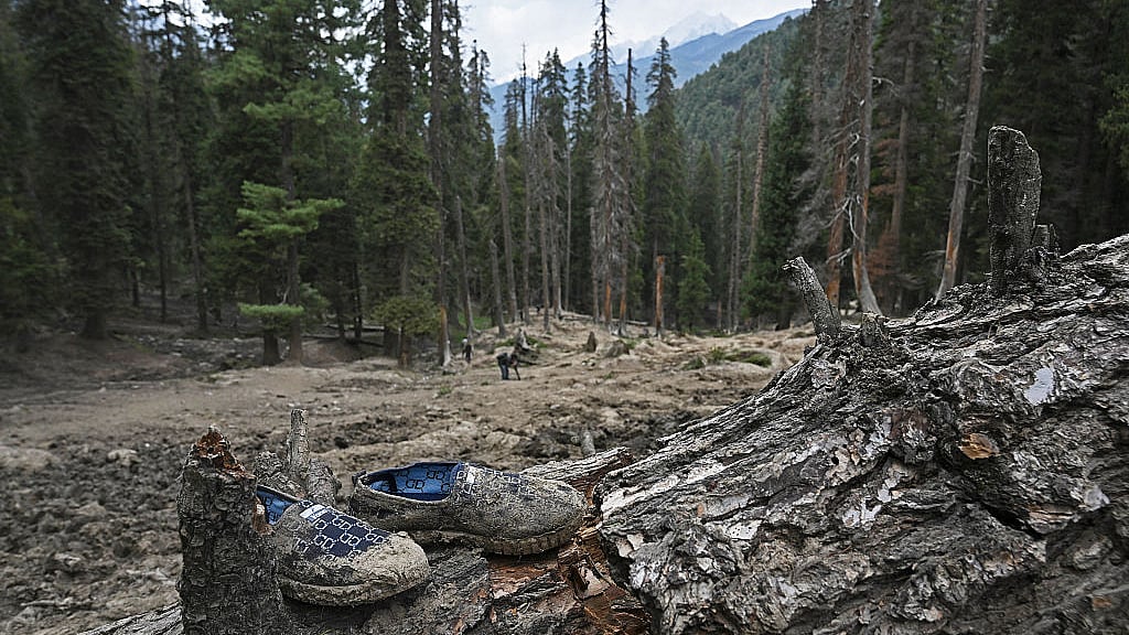 <div class="paragraphs"><p>Getty Images</p></div>