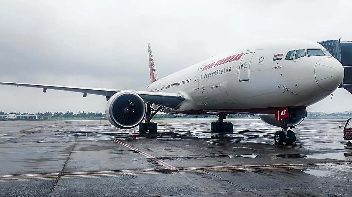 <div class="paragraphs"><p>ایئر انڈیا کی پرواز / فائل تصویر / آئی اے این ایس</p></div>