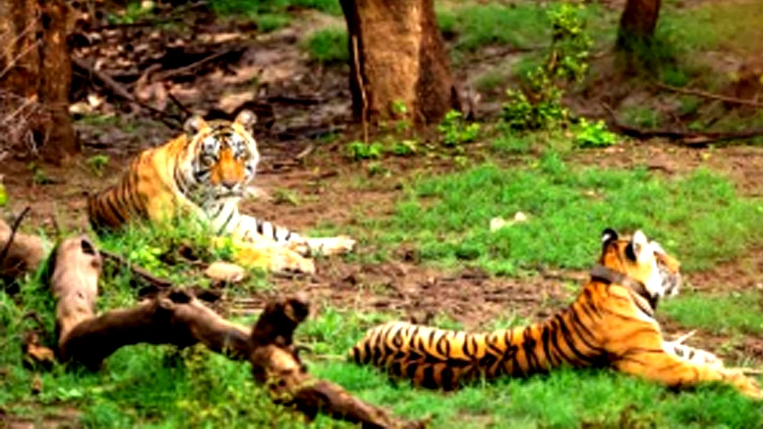 <div class="paragraphs"><p>تصویر’ایکس‘ <a href="https://x.com/Jairam_Ramesh">@Jairam_Ramesh</a></p></div>