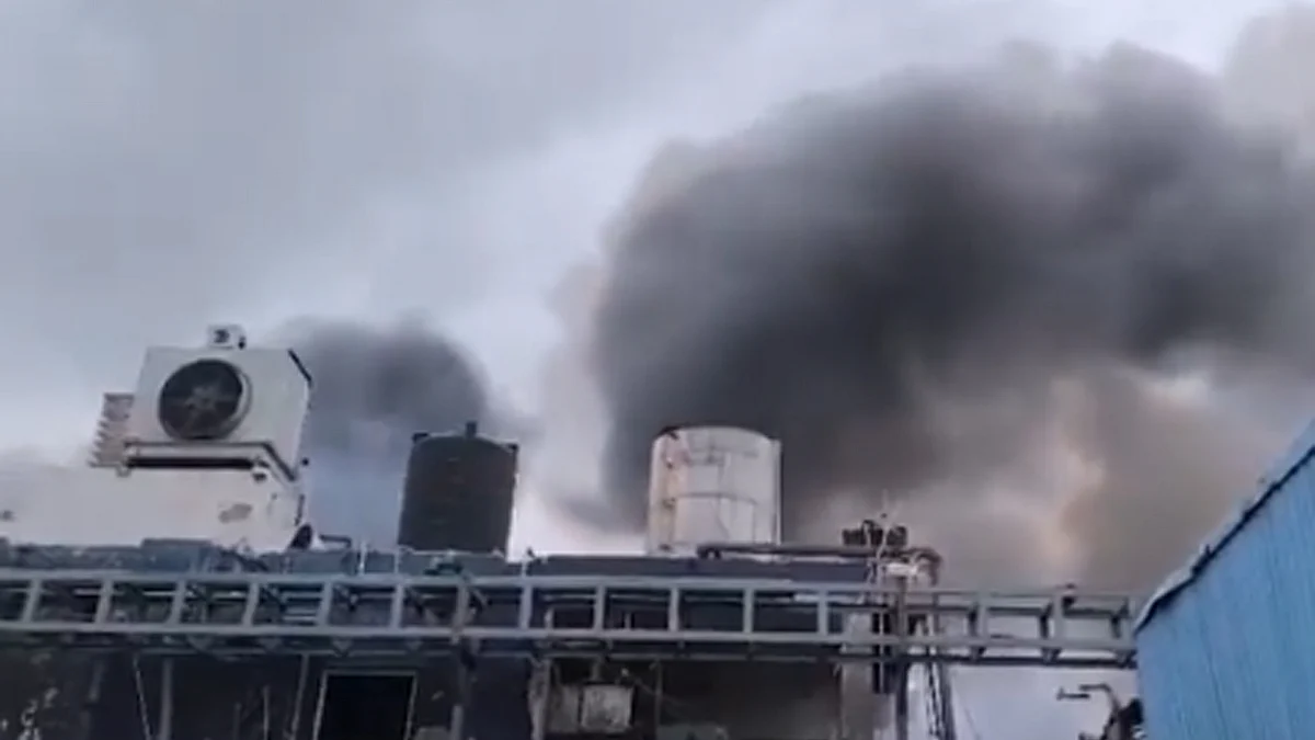 <div class="paragraphs"><p>فیکٹری میں دھماکہ کے بعد دھوئیں کا غبار اٹھتا ہوا۔ ویڈیو گریب/ایکس</p></div>