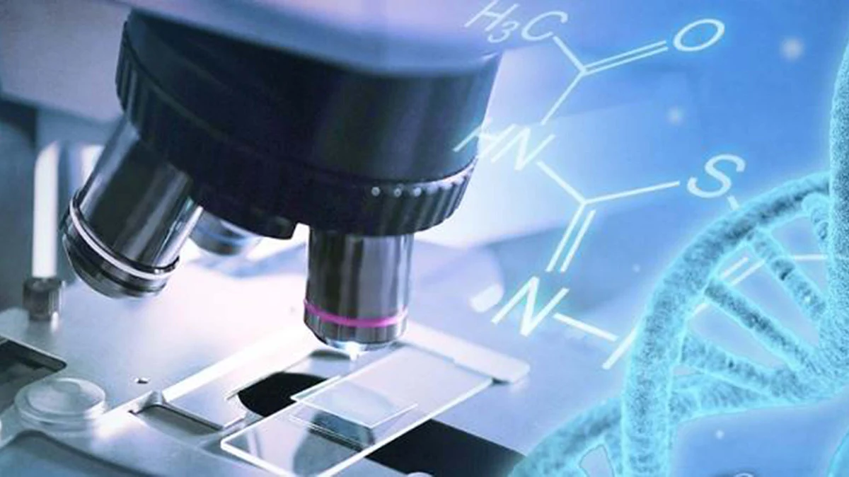 <div class="paragraphs"><p>آئی اے این ایس</p></div>