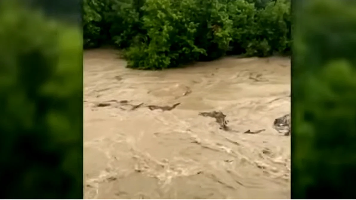 <div class="paragraphs"><p>ٹیکساس میں سیلاب۔ ویڈیو گریب/یو ٹیوب</p></div>