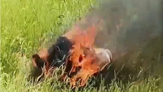 <div class="paragraphs"><p>حادثہ زدہ جیگوار کا جلتا ہوا ملبہ، تصویر سوشل میڈیا</p></div>