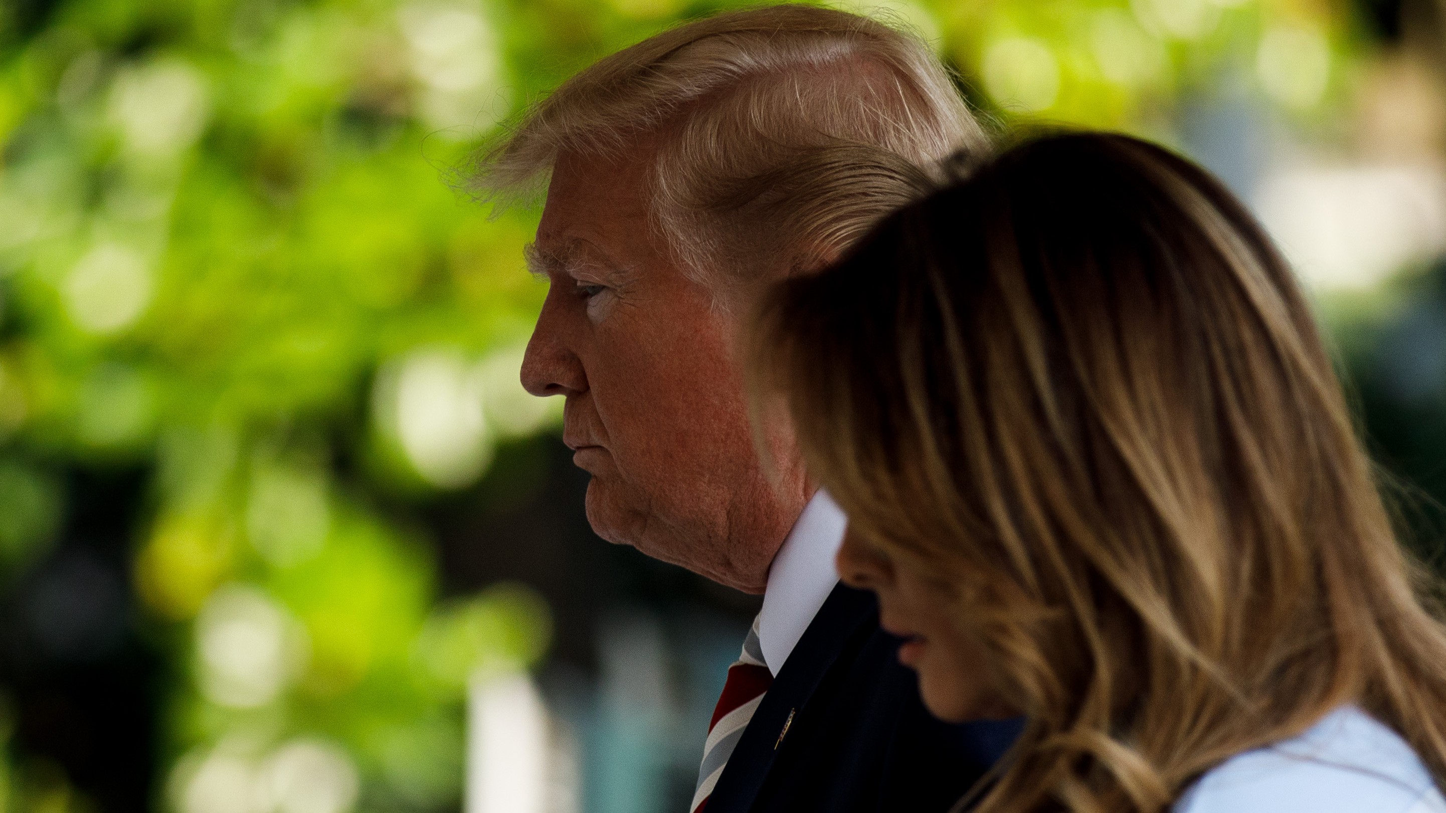 <div class="paragraphs"><p>فائل تصویر آئی اے این ایس</p></div>