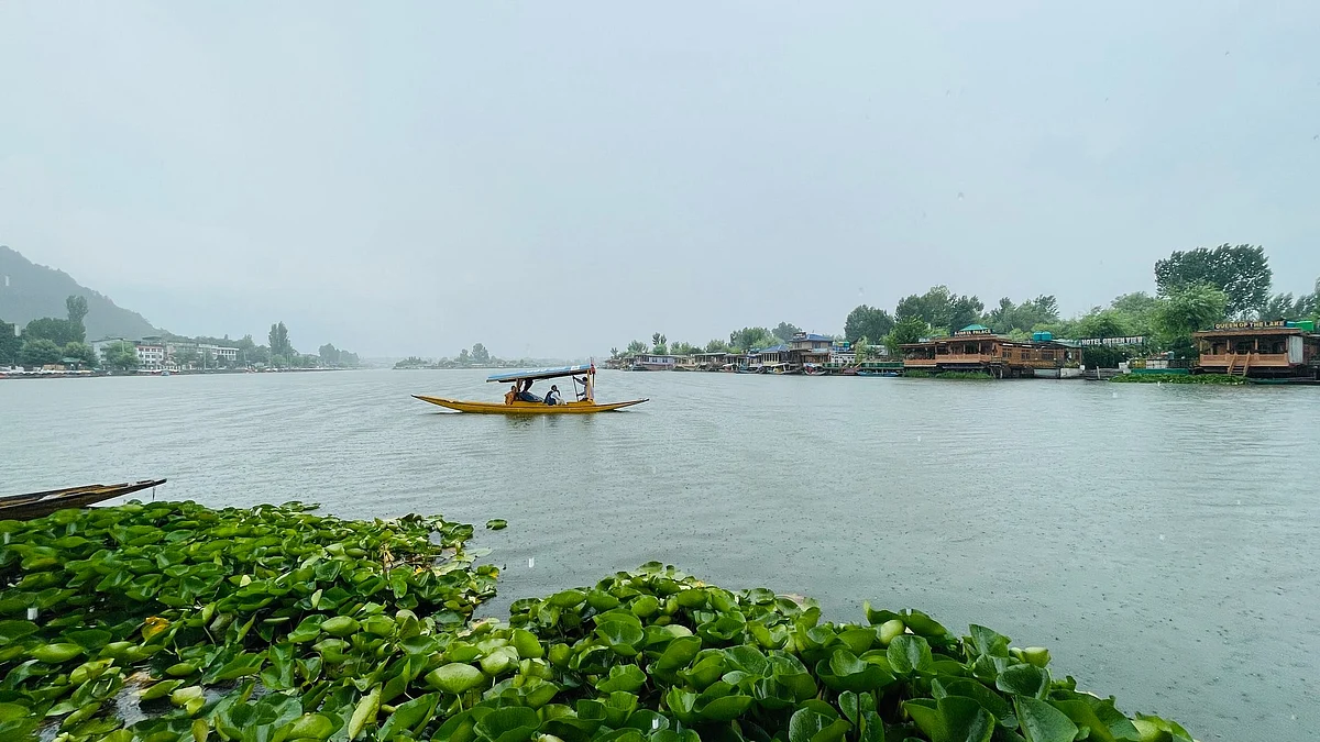 <div class="paragraphs"><p>ڈل جھیل، تصویر بشکریہ @nagarkoti</p></div>