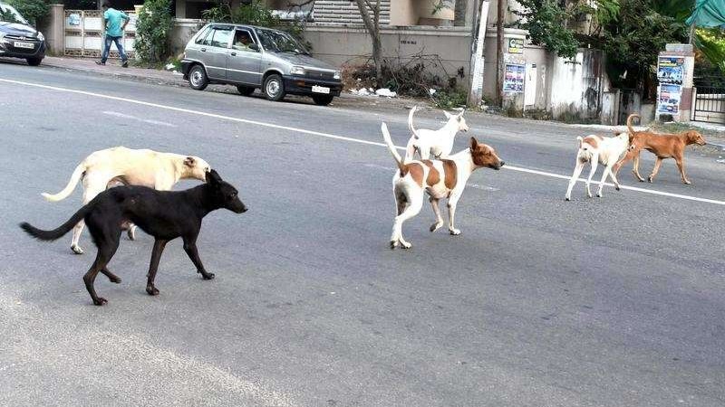 <div class="paragraphs"><p>علامتی تصویر سوشل میڈیا</p></div>