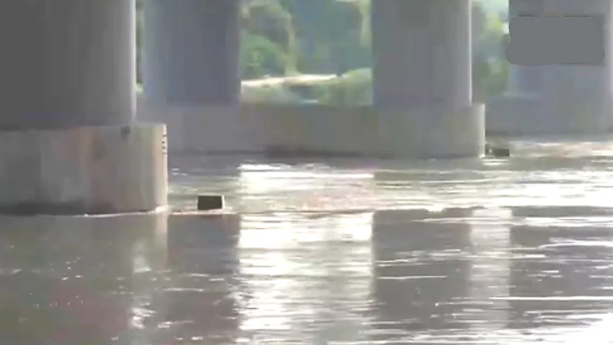 <div class="paragraphs"><p>جمنا ندی کی آبی سطح میں اضافہ۔ ویڈیو گریب/ایکس</p></div>