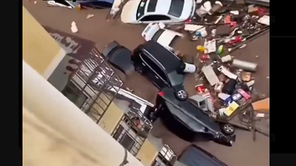 <div class="paragraphs"><p>ویڈیو گریب/ایکس</p></div>