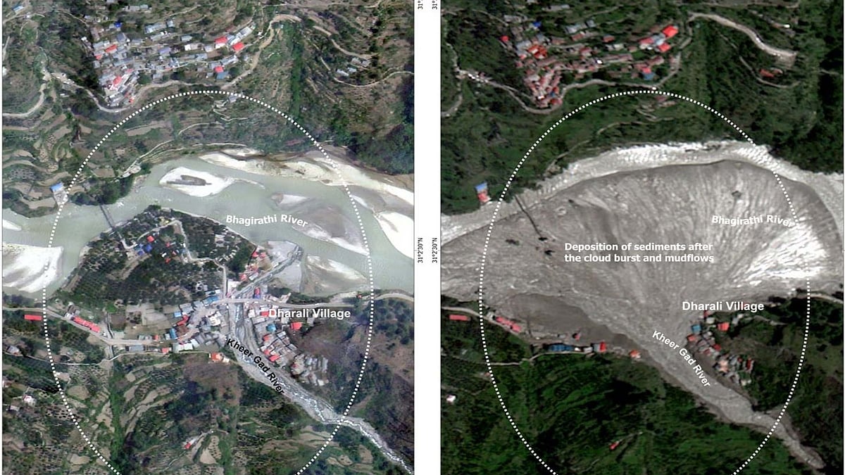 <div class="paragraphs"><p>سوشل میڈیا</p></div>