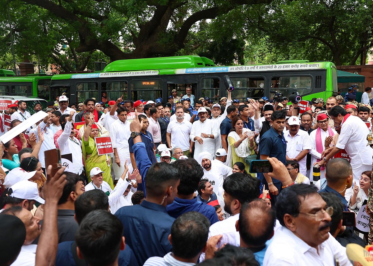 ’ووٹ چوری‘ کے خلاف اپوزیشن اراکین پارلیمنٹ کی ریلی میں نظر آیا زبردست جوش، دیکھیں تصویری جھلکیاں