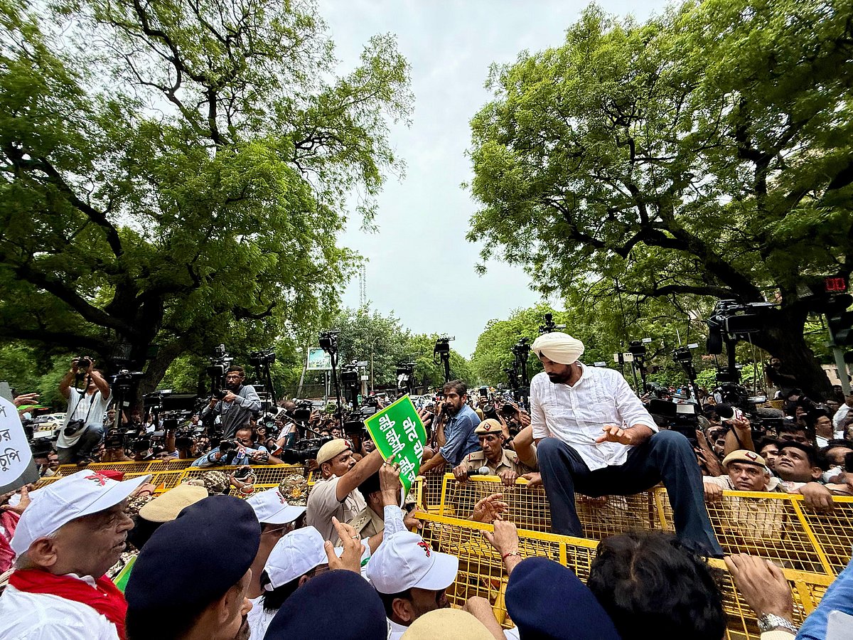 ’ووٹ چوری‘ کے خلاف اپوزیشن اراکین پارلیمنٹ کی ریلی میں نظر آیا زبردست جوش، دیکھیں تصویری جھلکیاں