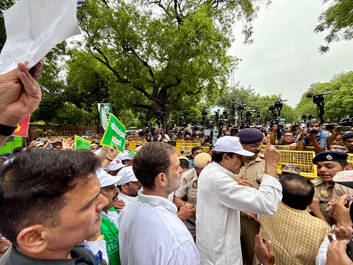 ’ووٹ چوری‘ کے خلاف اپوزیشن اراکین پارلیمنٹ کی ریلی میں نظر آیا زبردست جوش، دیکھیں تصویری جھلکیاں