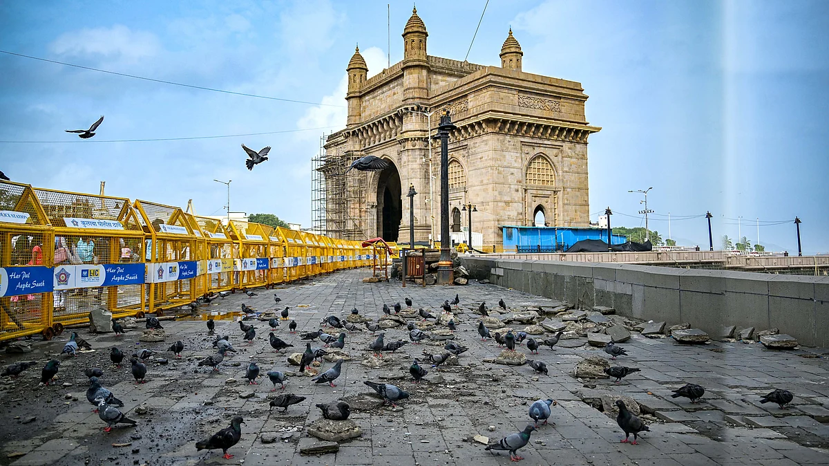 <div class="paragraphs"><p>ممبئی / تصویر آئی اے این ایس</p></div>