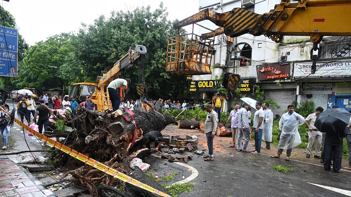 <div class="paragraphs"><p>سڑک پر گرا درخت، تصویر ویپن</p></div>