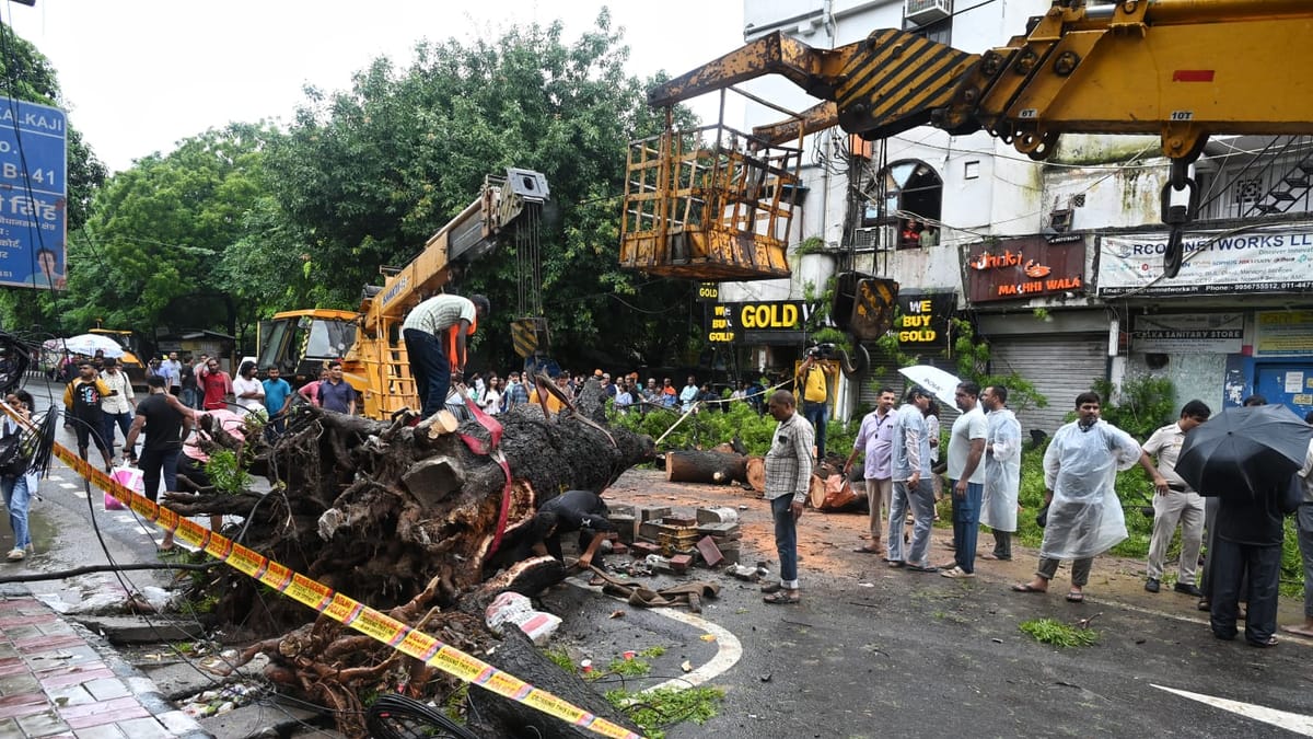 <div class="paragraphs"><p>سڑک پر گرا درخت، تصویر ویپن</p></div>