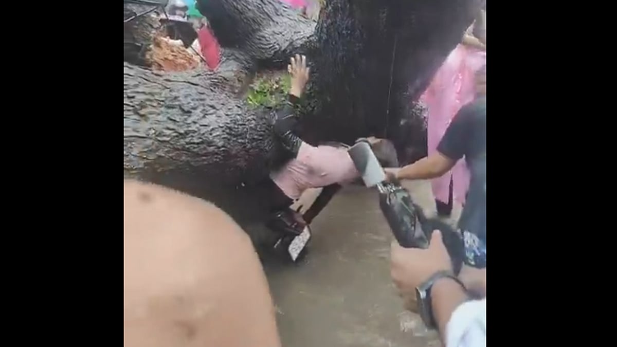 <div class="paragraphs"><p>کالکا جی علاقے میں پیڑ گرنے سے حادثہ۔ ویڈیو گریب ’ایکس‘</p></div>