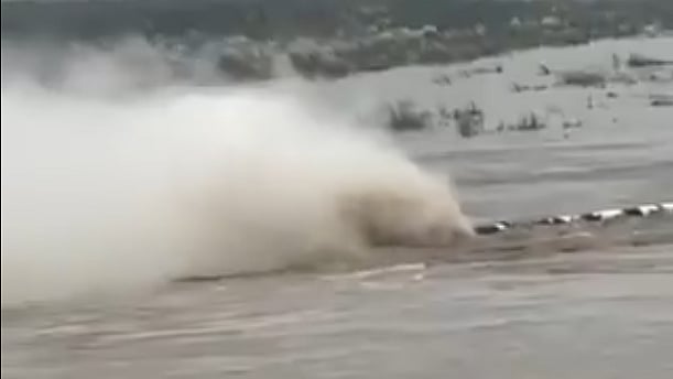 <div class="paragraphs"><p>تصویر سوشل میڈیا</p></div>