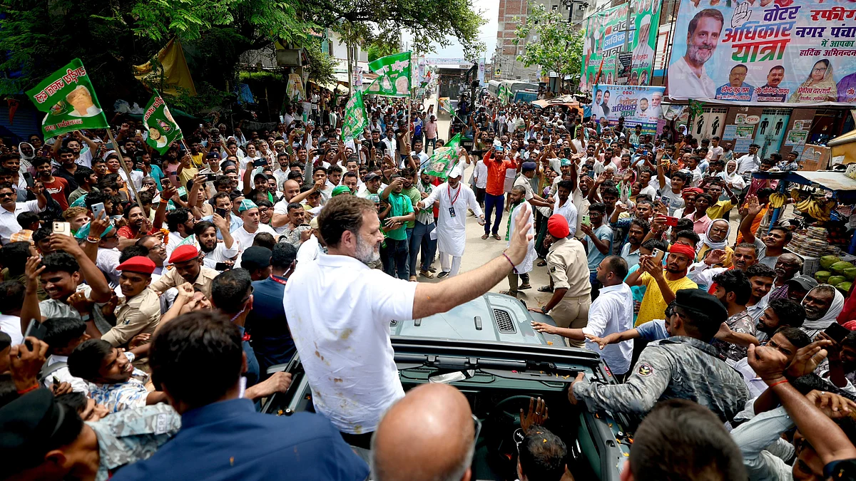 <div class="paragraphs"><p>راہل گاندھی، تصویر @INCIndia</p></div>