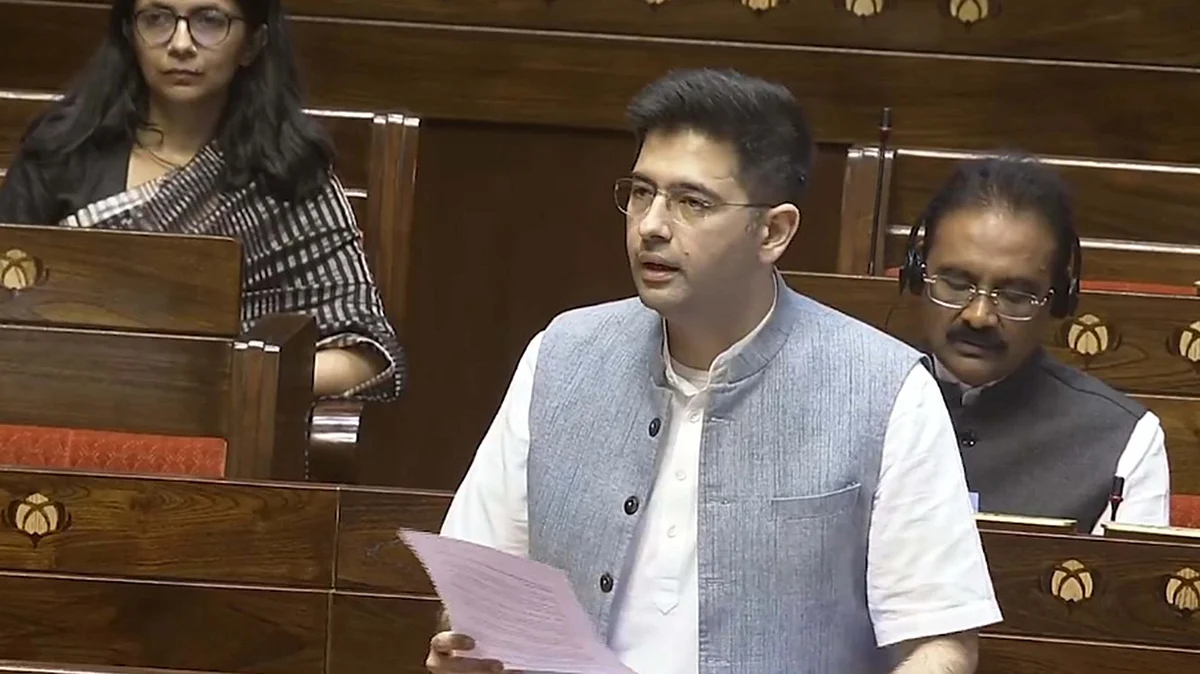 <div class="paragraphs"><p>راگھو چڈھا / آئی اے این ایس</p></div>