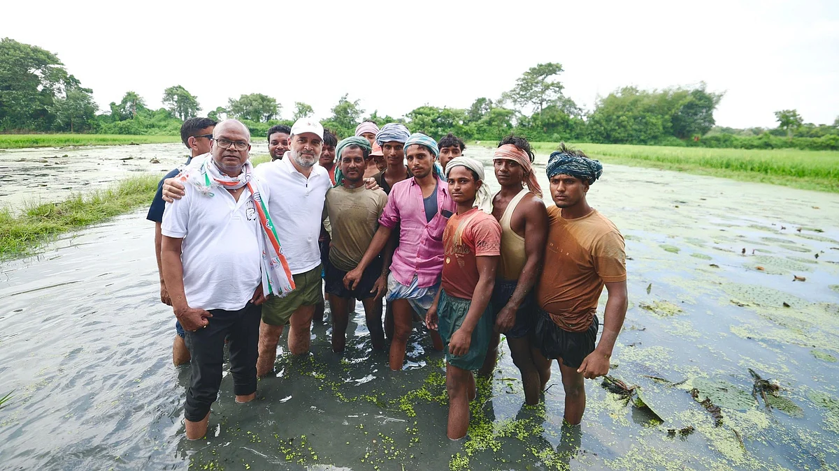 <div class="paragraphs"><p>بہار میں مکھانا کسانوں کے ساتھ راہل گاندھی اور راجیش کمار، تصویر@RahulGandhi</p></div>