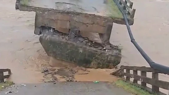 <div class="paragraphs"><p>ویڈیو گریب</p></div>