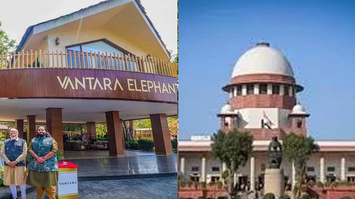 <div class="paragraphs"><p>تصویر سوشل میڈیا</p></div>