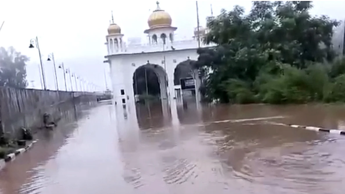 <div class="paragraphs"><p>ویڈیو گریب</p></div>