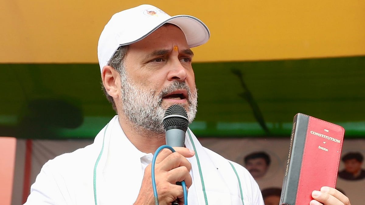 <div class="paragraphs"><p>راہل گاندھی، تصویر @INCIndia</p></div>