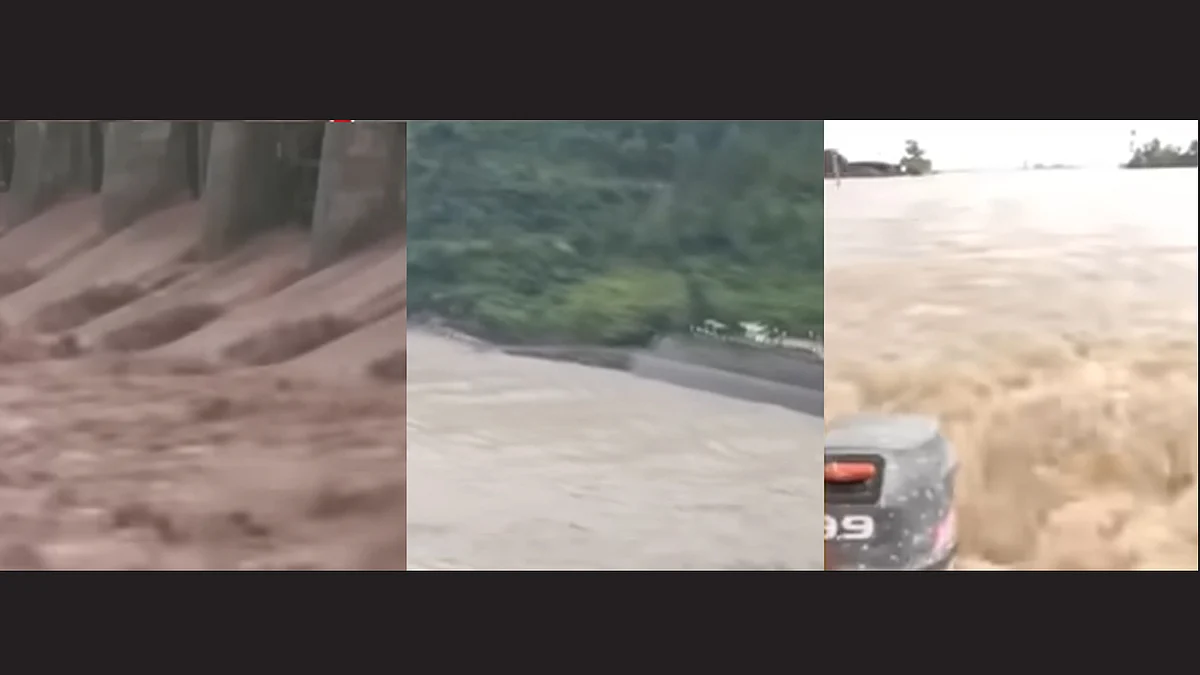 <div class="paragraphs"><p>ویڈیو گریب</p></div>