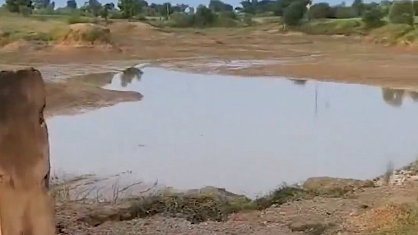 <div class="paragraphs"><p>ویڈیو گریب</p></div>