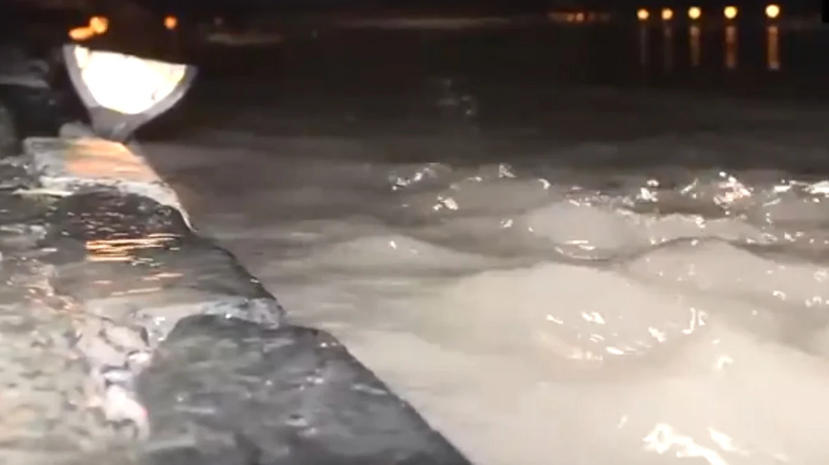 <div class="paragraphs"><p>ویڈیو گریب ’ایکس‘ <a href="https://x.com/ANI">@ANI</a></p></div>