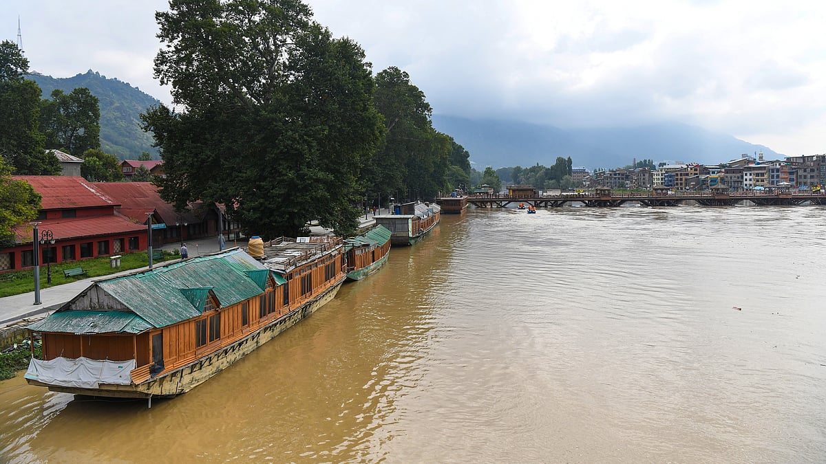 <div class="paragraphs"><p>تصویر بشکریہ آئی اے این ایس</p></div>