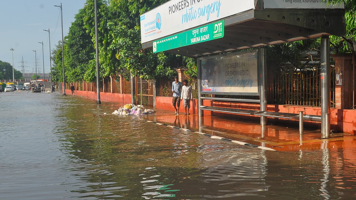 <div class="paragraphs"><p>تصویر بشکریہ آئی اے این ایس</p></div>