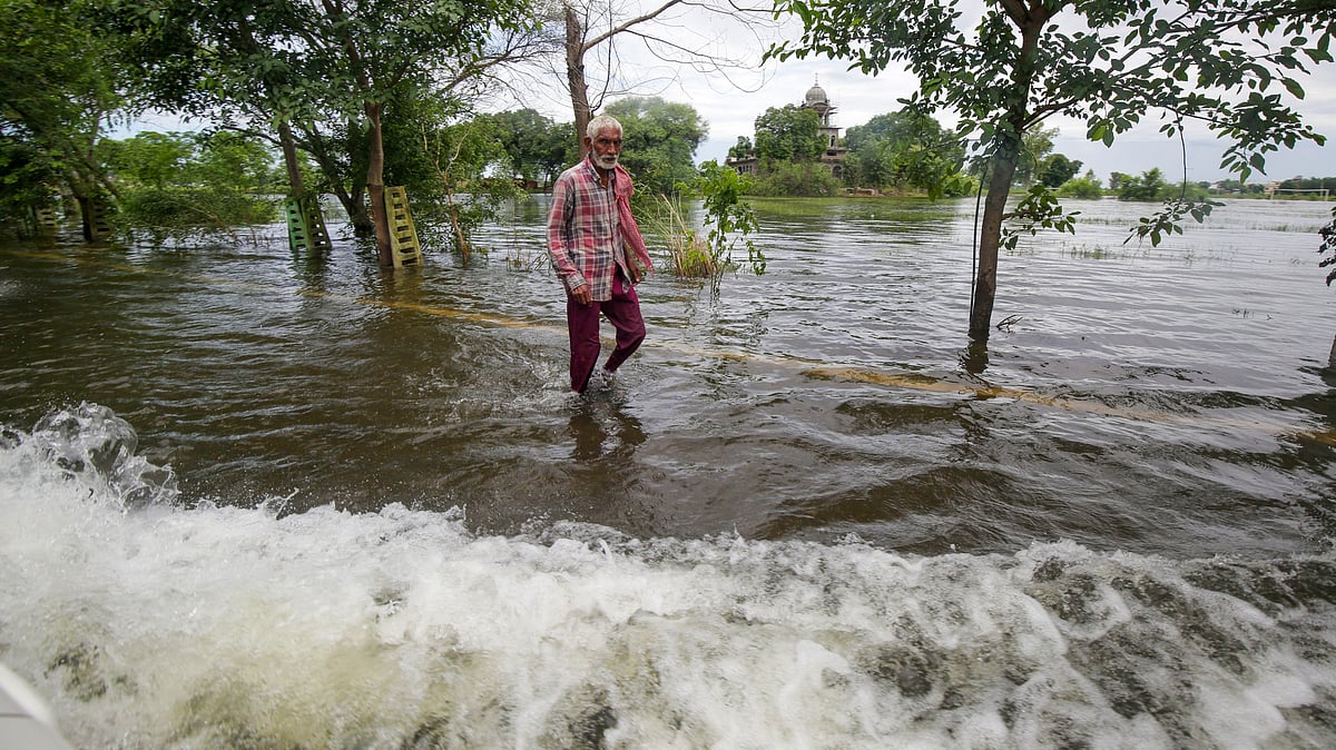 <div class="paragraphs"><p>تصویر بشکریہ آئی اے این ایس</p></div>