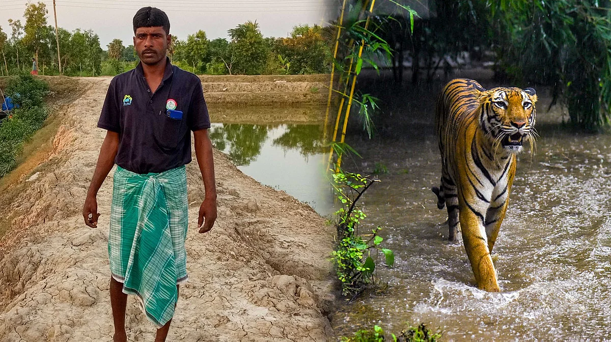 لُطفُر مُلّا: سندر بن کا گمنام ہیرو، جو بنگال ٹائیگر اور انسان دونوں کی زندگیاں بچاتا ہے